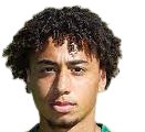 https://img.doopan.com/img/football/player/347a6d58ae7ec0425a4d42bc9215c411.png